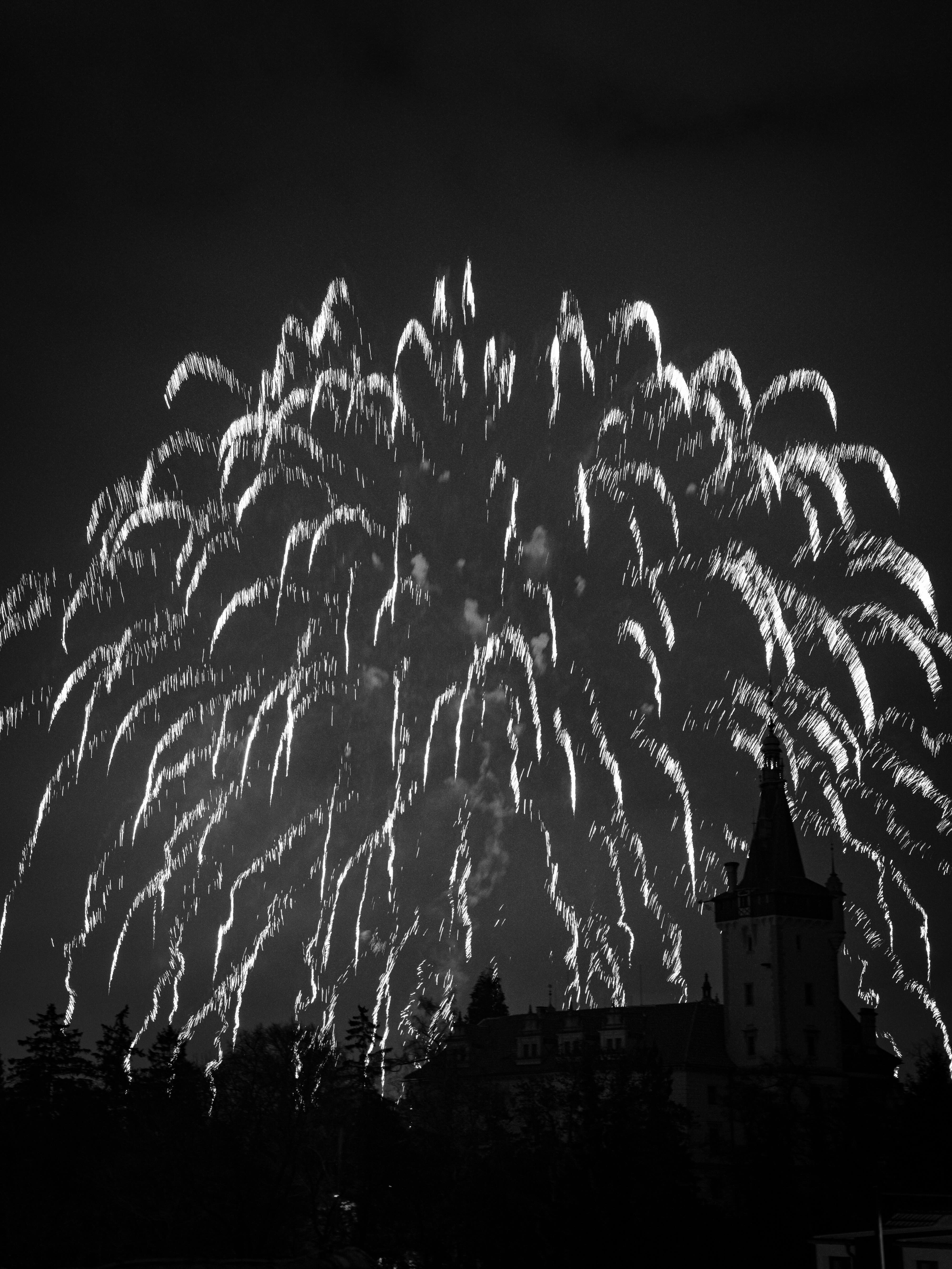 Monochrome Photo 3