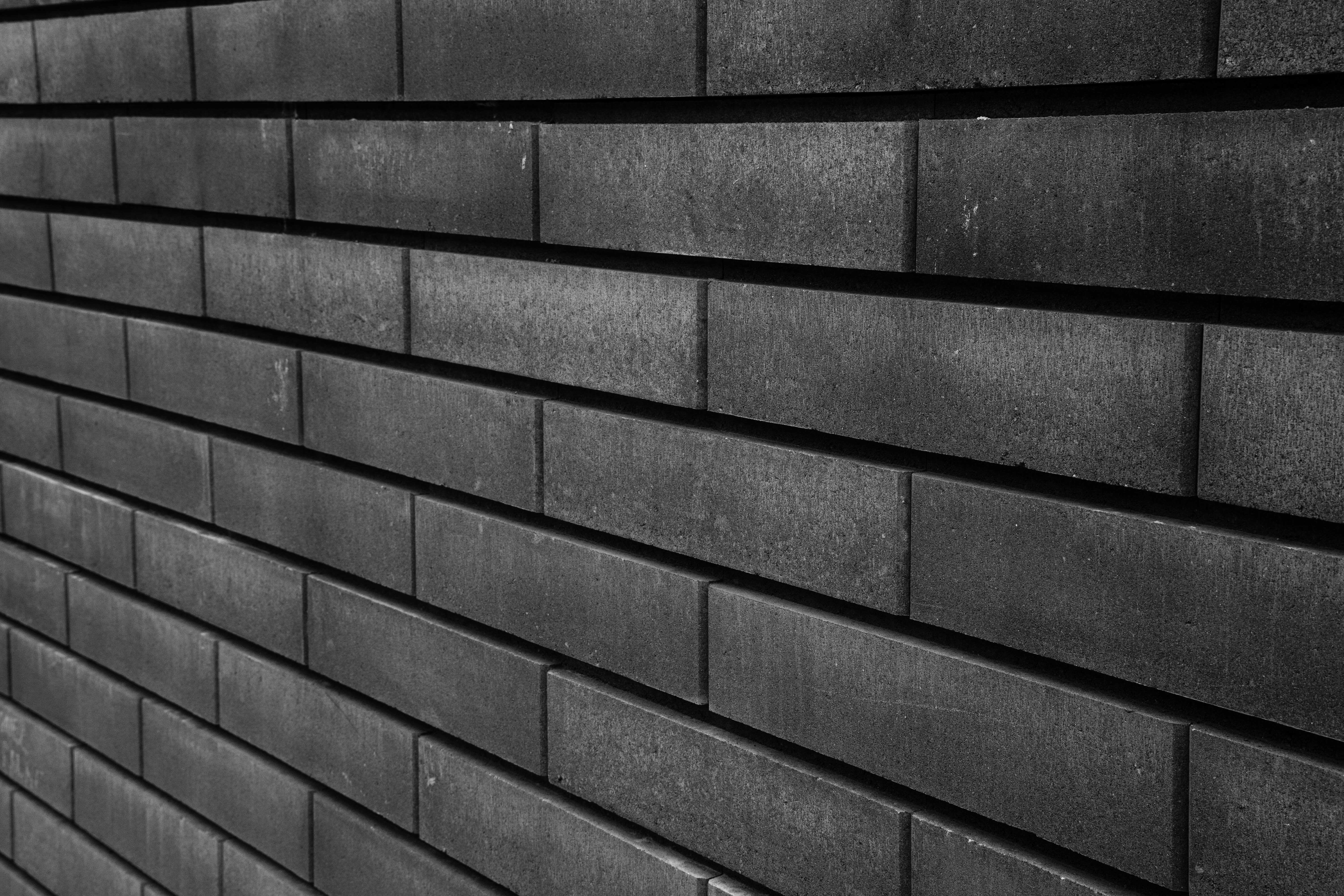 Monochrome Photo 4