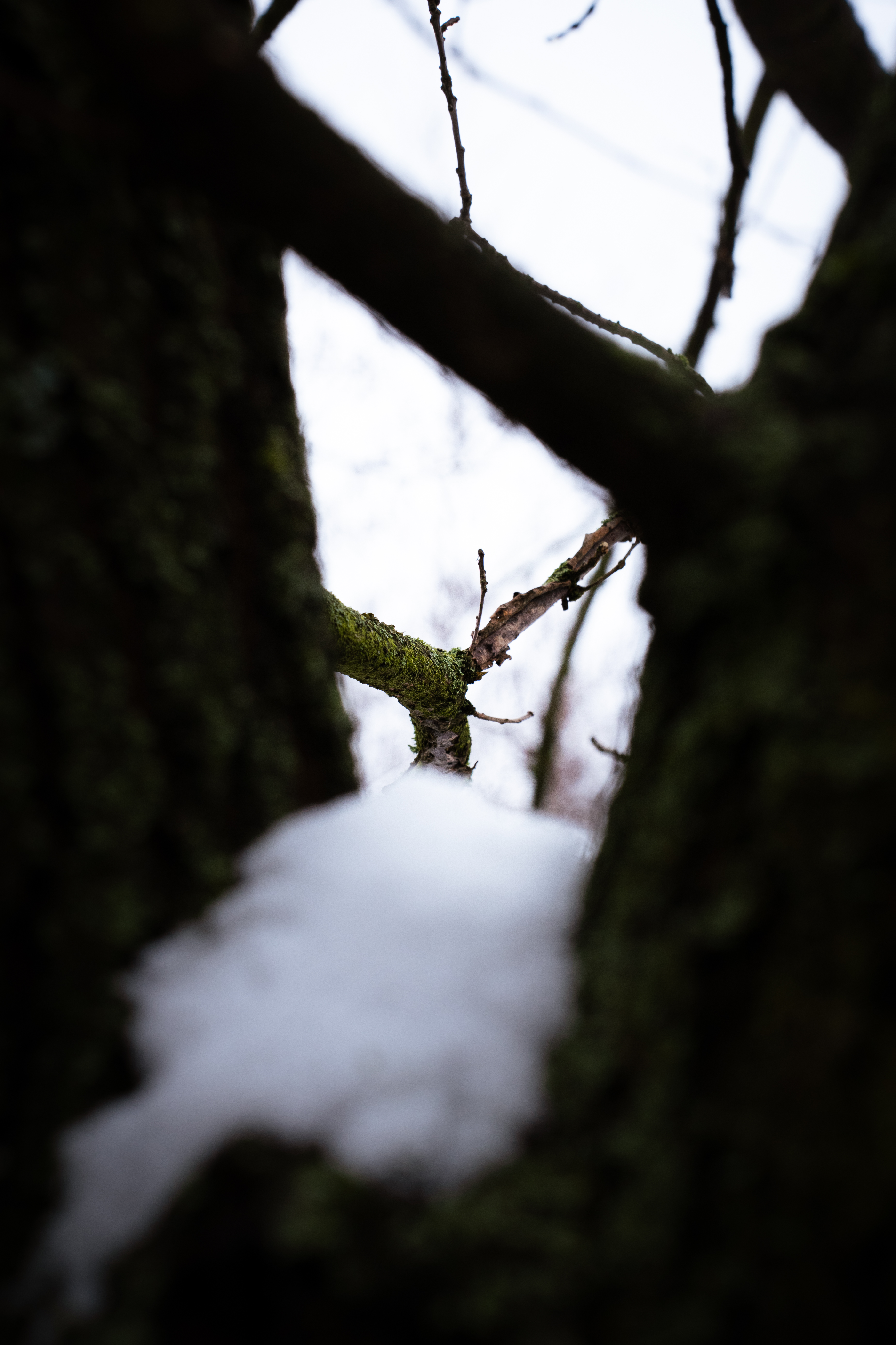 Nature Photo 13
