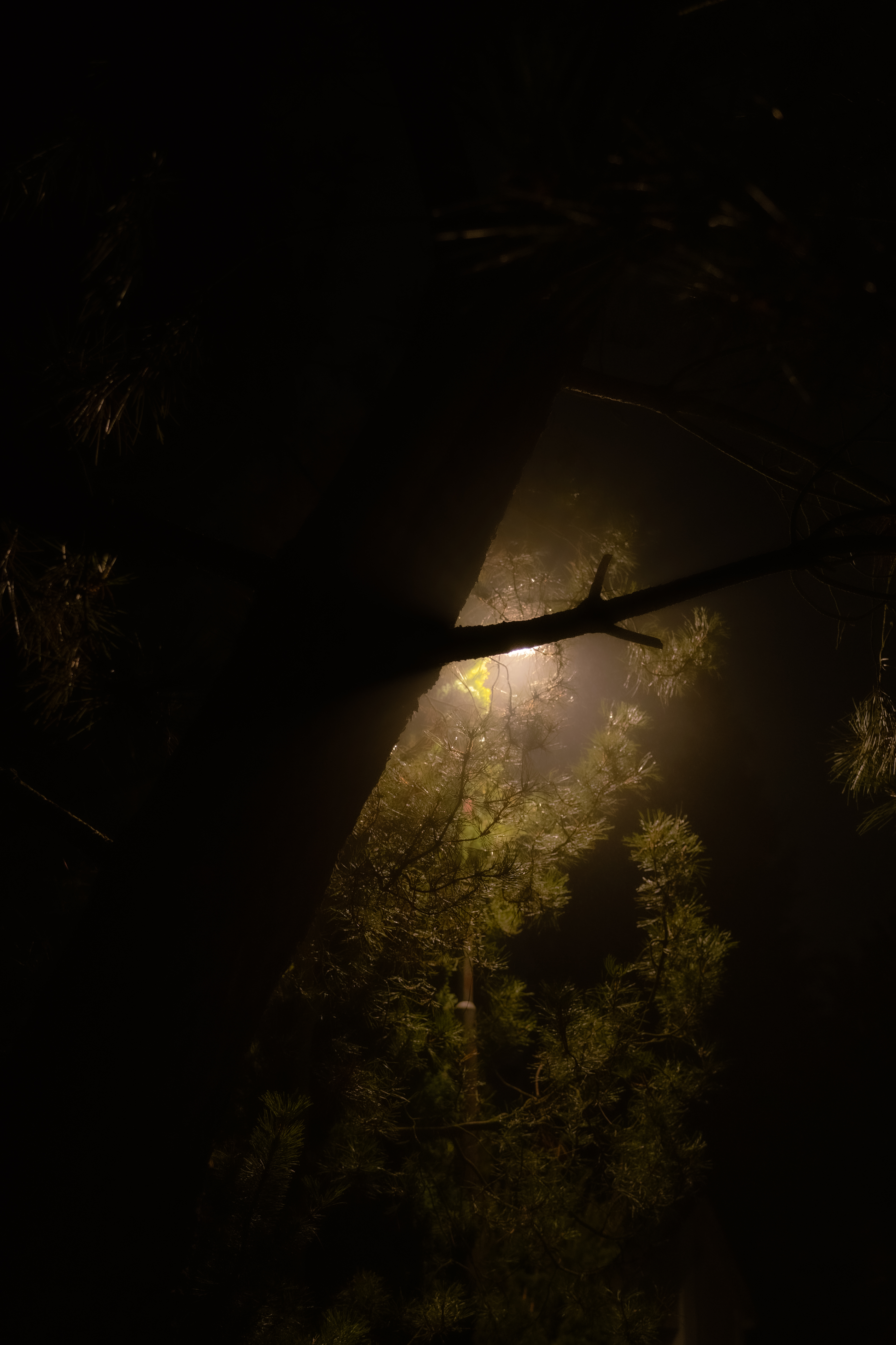 Nature Photo 14