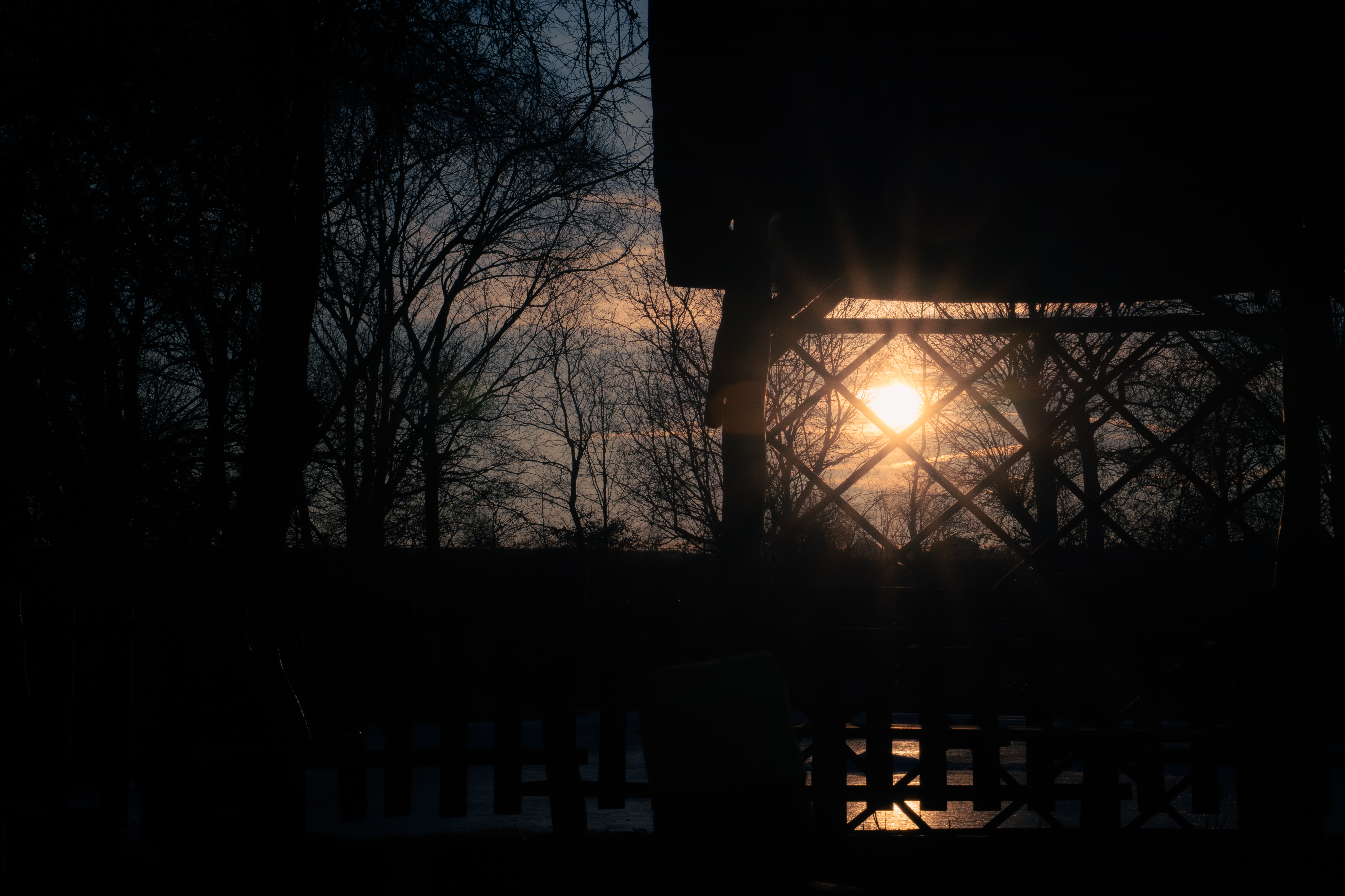 Nature Photo 16