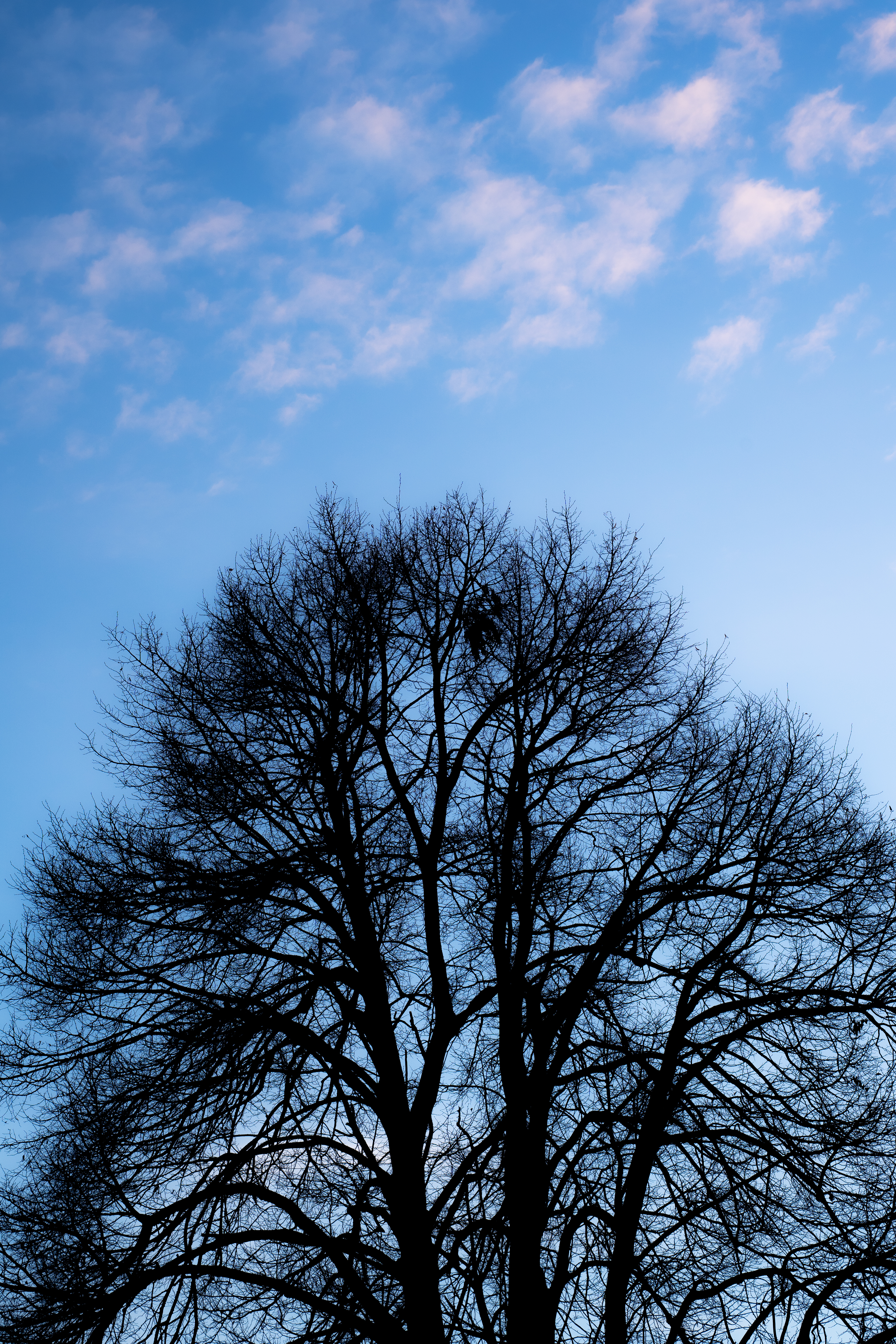 Nature Photo 17