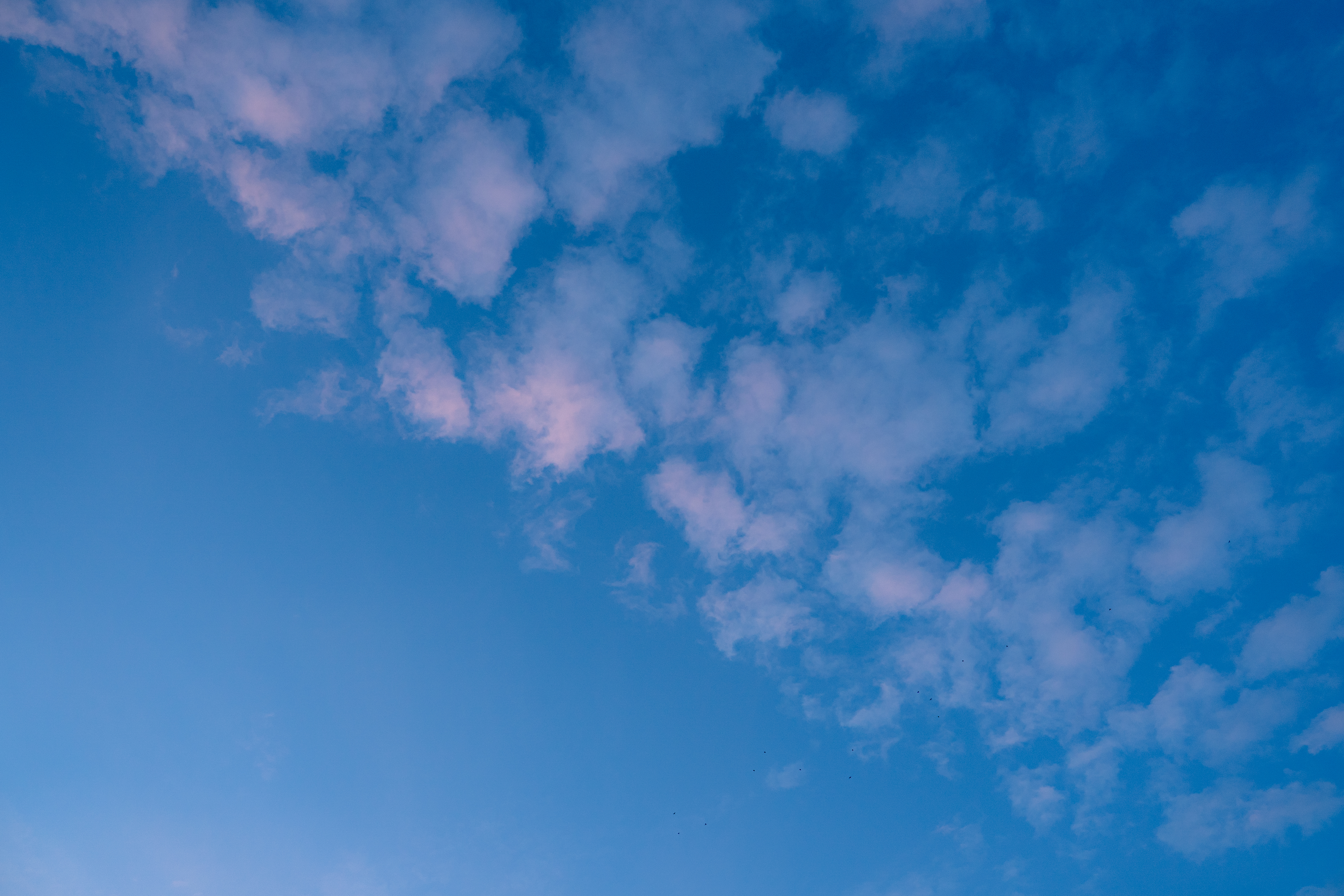 Nature Photo 18