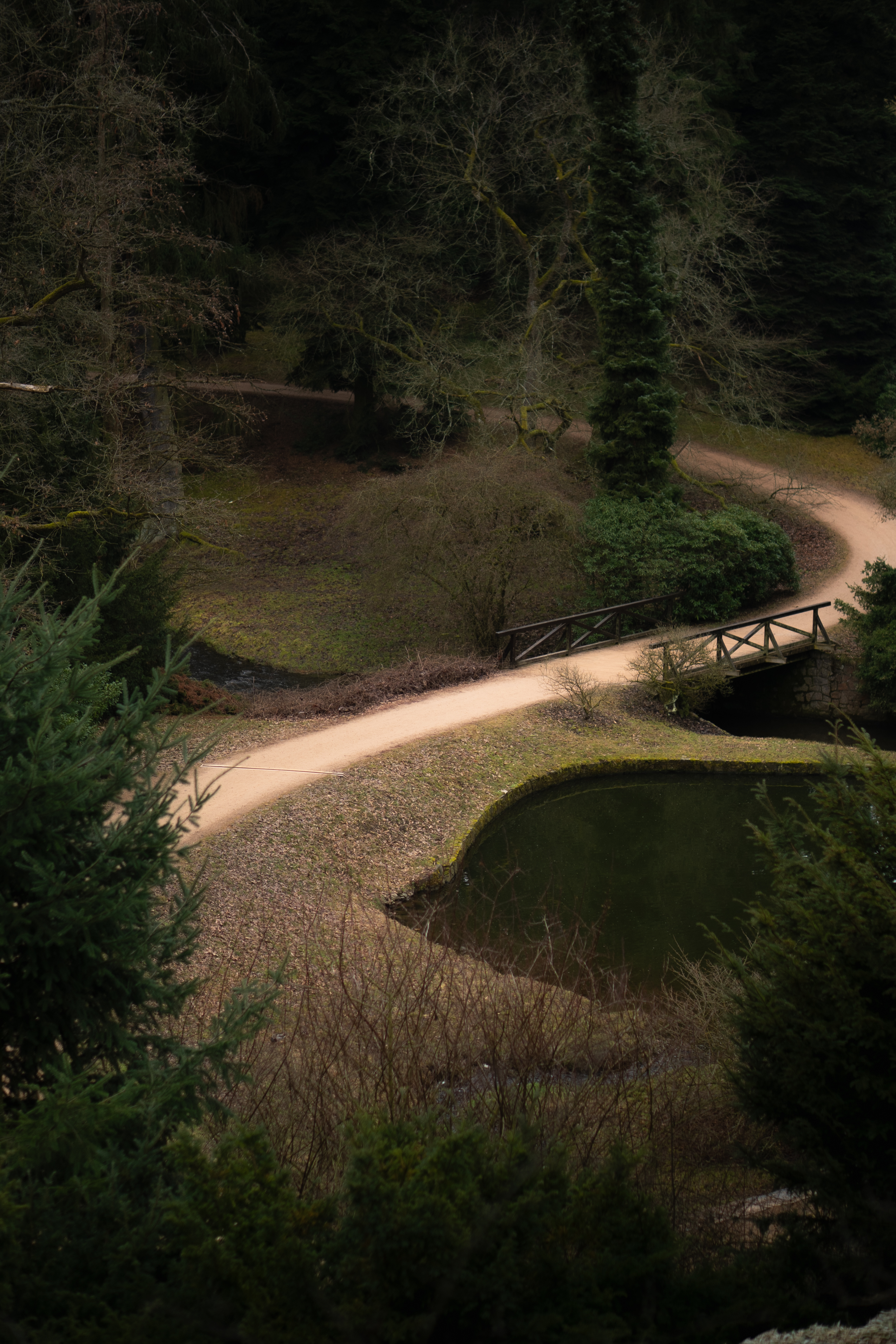 Nature Photo 19