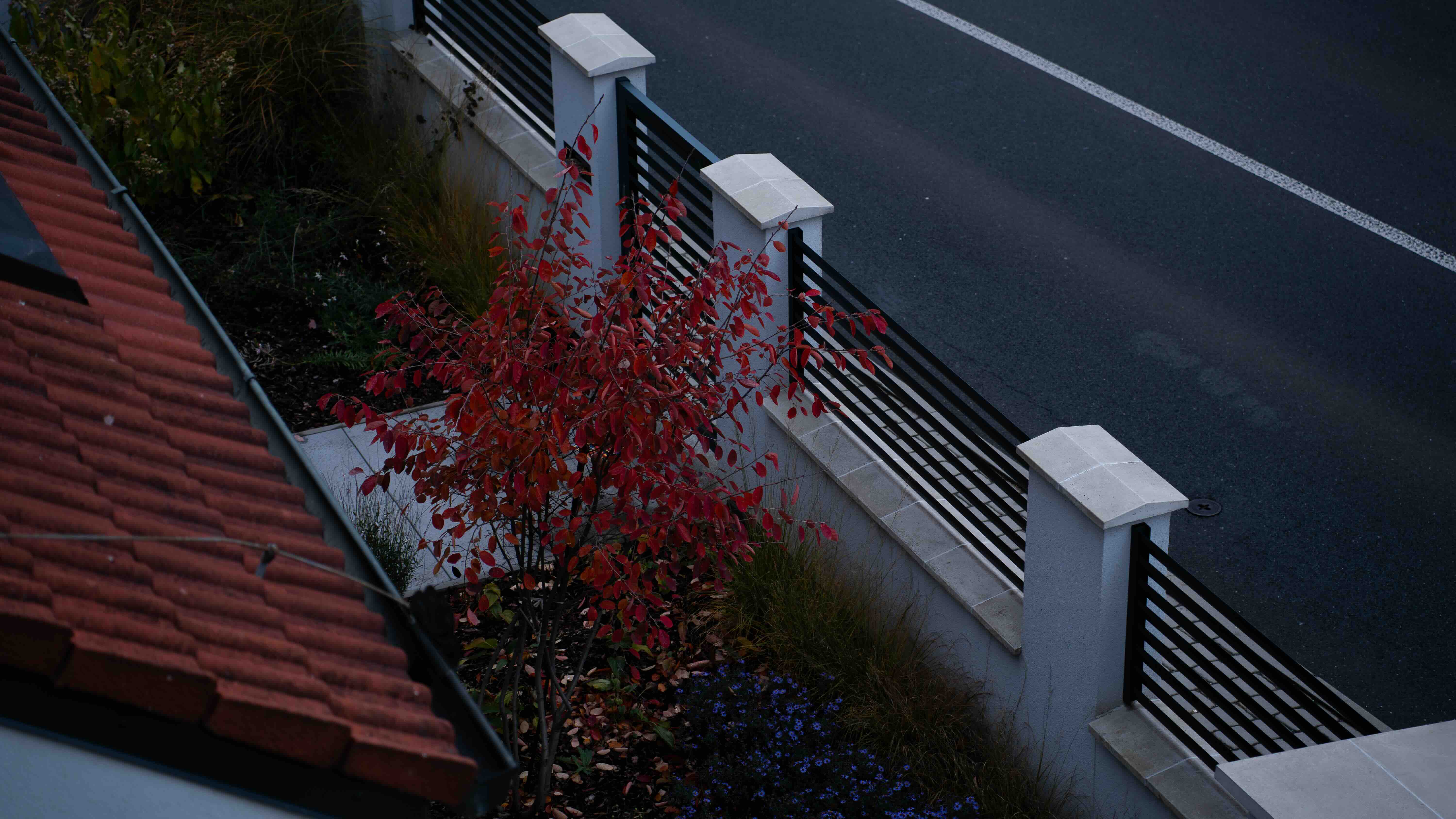 Street Photo 7